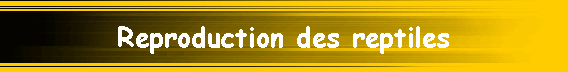 Reproduction des reptiles