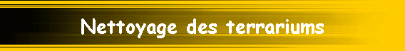 Nettoyage des terrariums