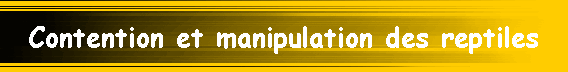Contention et manipulation des reptiles