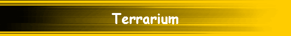 Terrarium