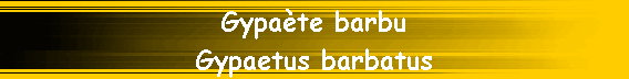 Gypa�te barbu
Gypaetus barbatus