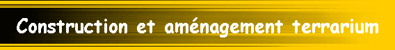 Construction et am�nagement terrarium