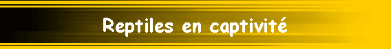 Reptiles en captivit�