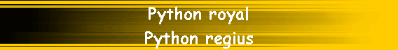 Python royal
Python regius