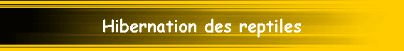 Hibernation des reptiles