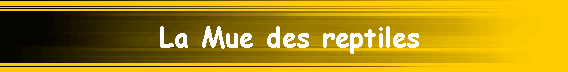 La Mue des reptiles